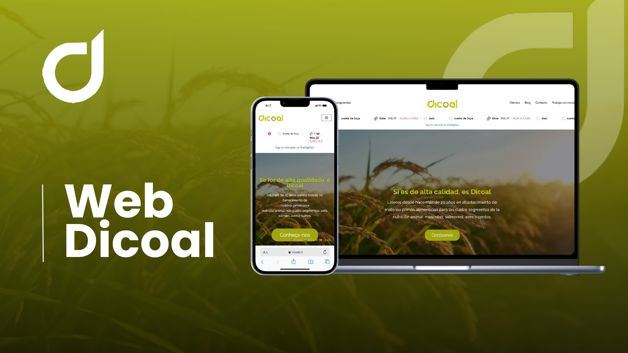 Web Dicoal - Portafolio.pptx_page-0001