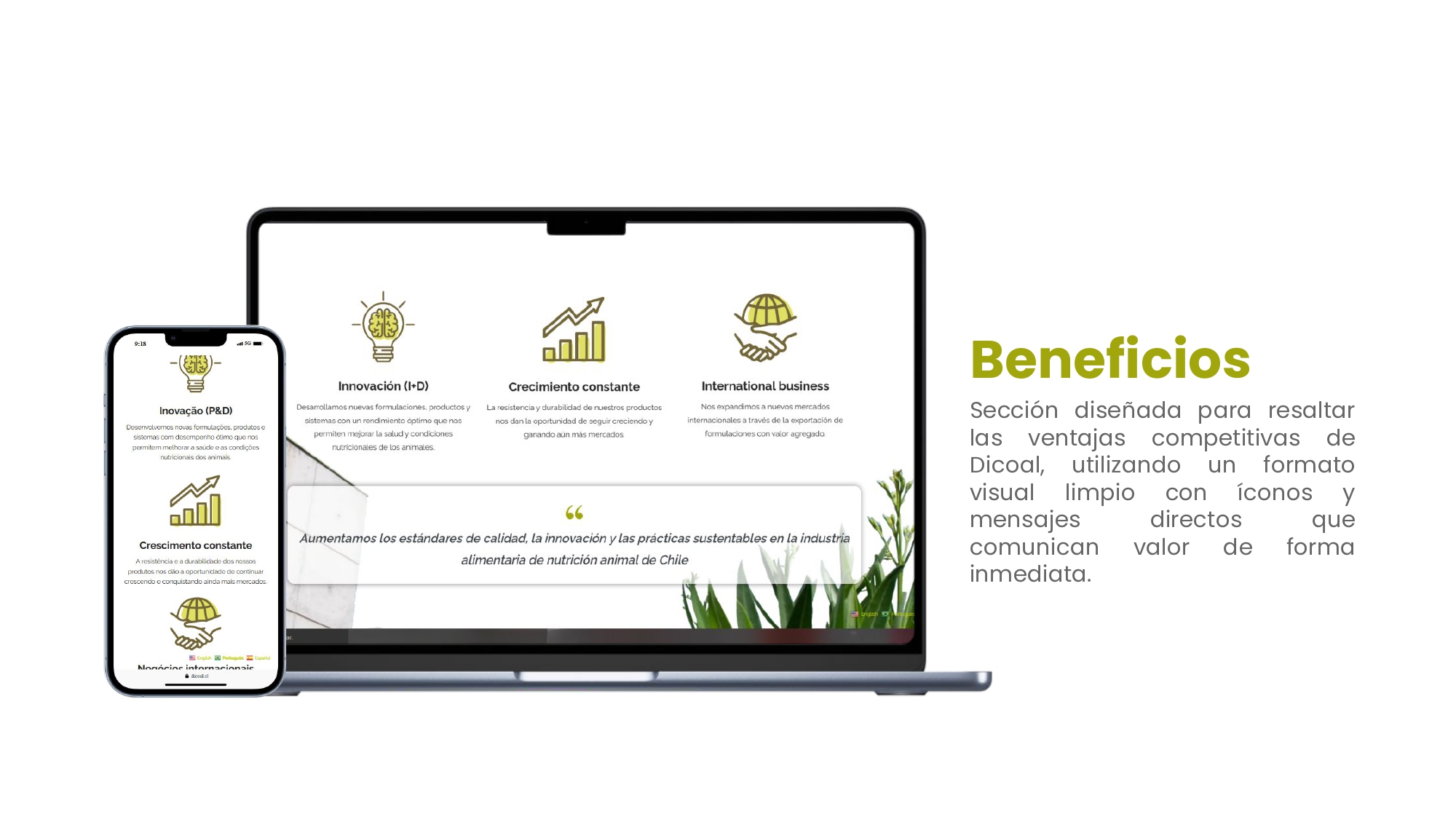 Web Dicoal - Portafolio.pptx_page-0002