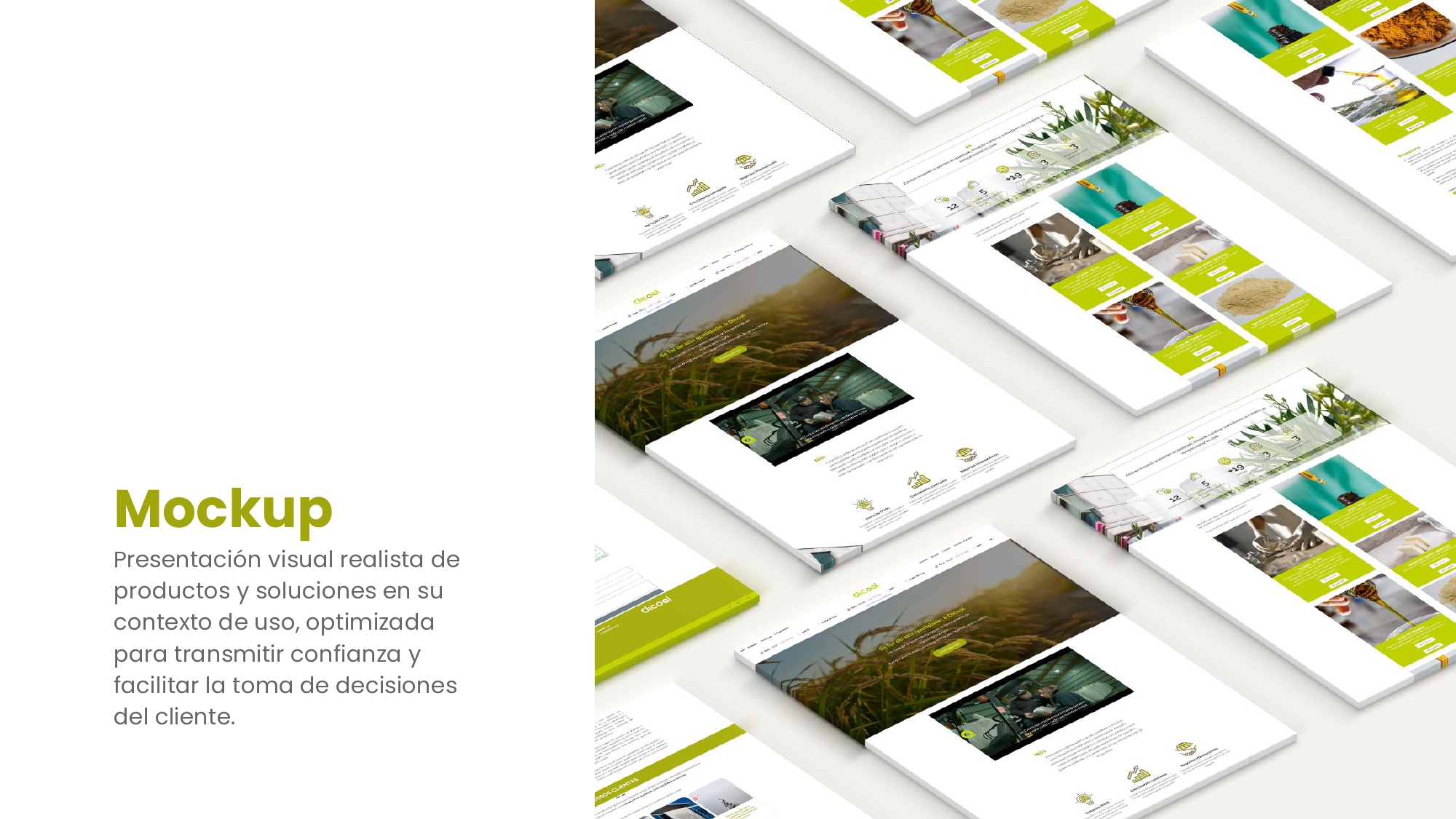 Web Dicoal - Portafolio.pptx_page-0003