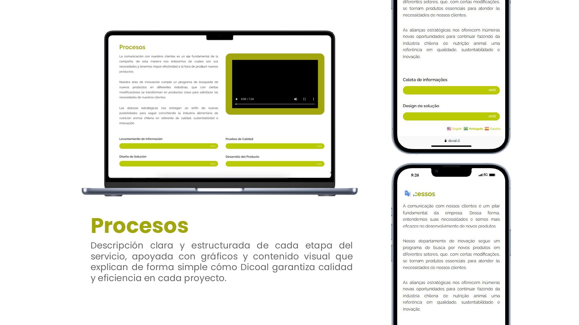 Web Dicoal - Portafolio.pptx_page-0004