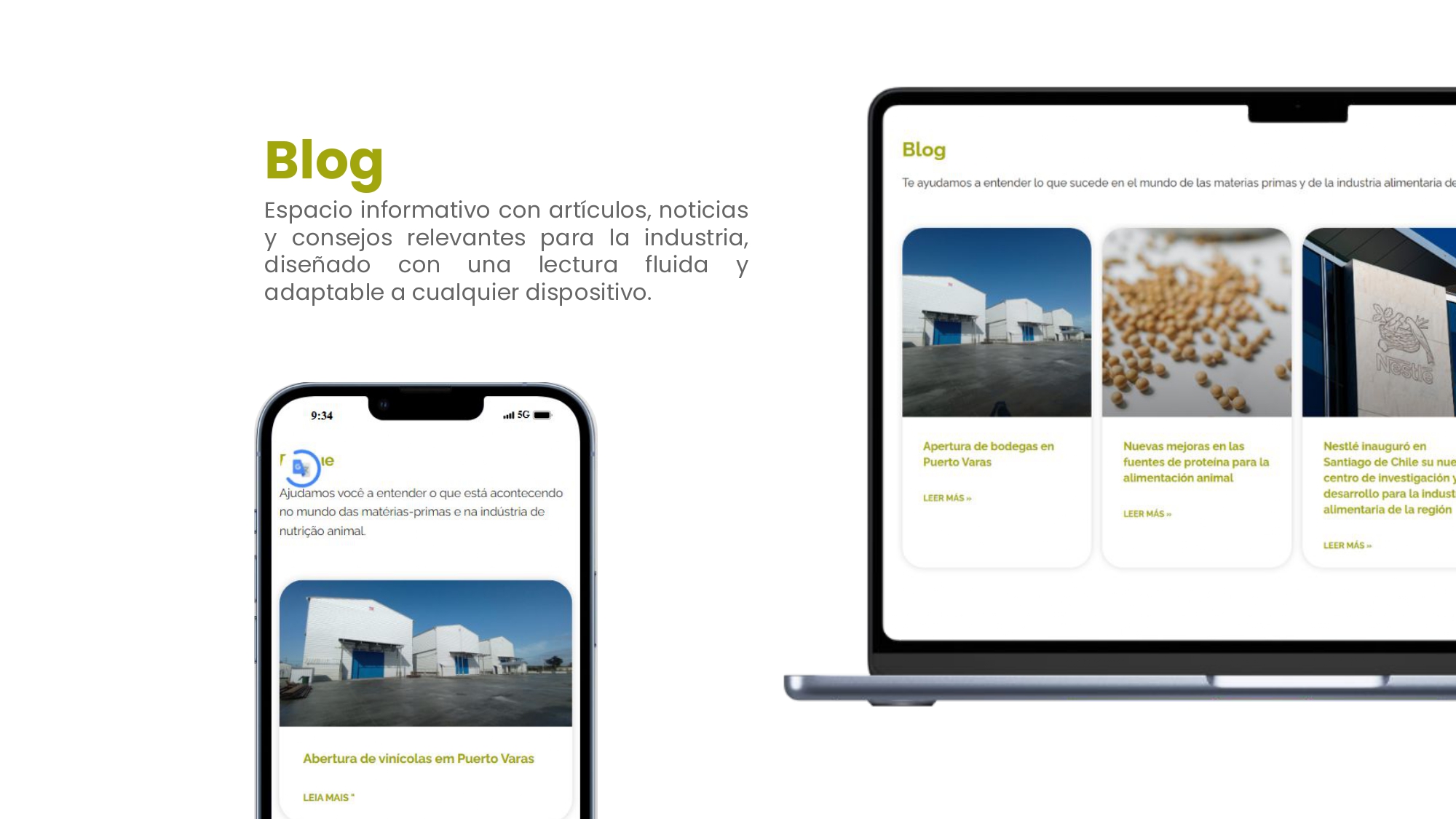 Web Dicoal - Portafolio.pptx_page-0005