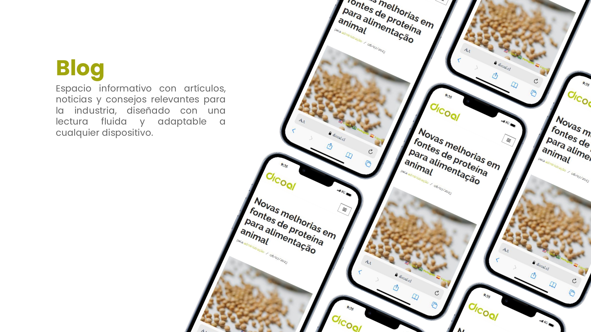 Web Dicoal - Portafolio.pptx_page-0006