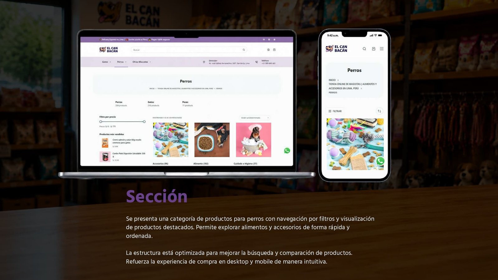 Portafolio Web - EL CAN BACตN_page-0004